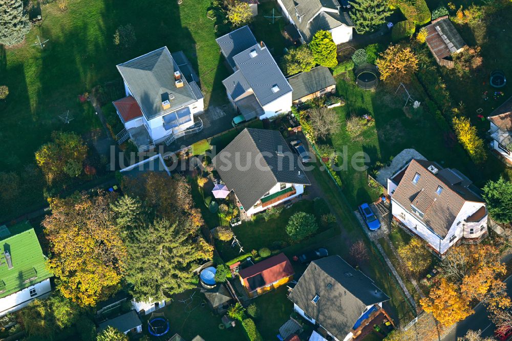 Berlin von oben - Herbstluftbild Wohngebiet einer Einfamilienhaus- Siedlung an der Bausdorfstraße im Ortsteil Kaulsdorf in Berlin, Deutschland