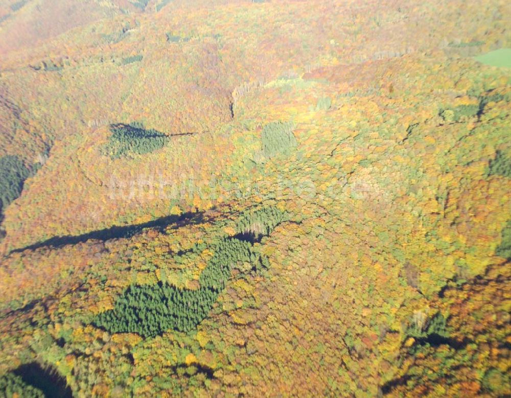 Bad Breisig von oben - Herbststimmung