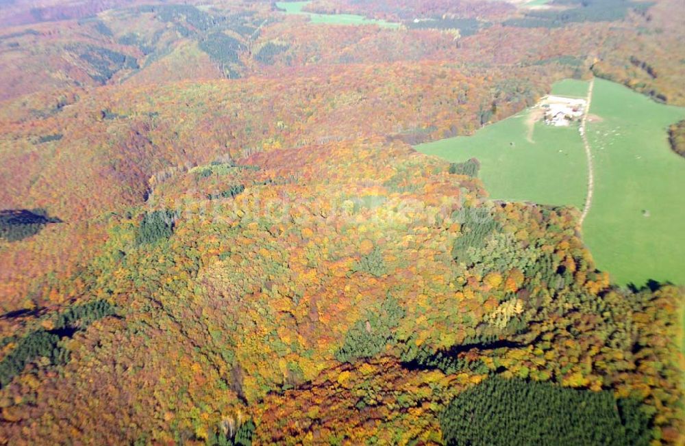 Bad Breisig aus der Vogelperspektive: Herbststimmung