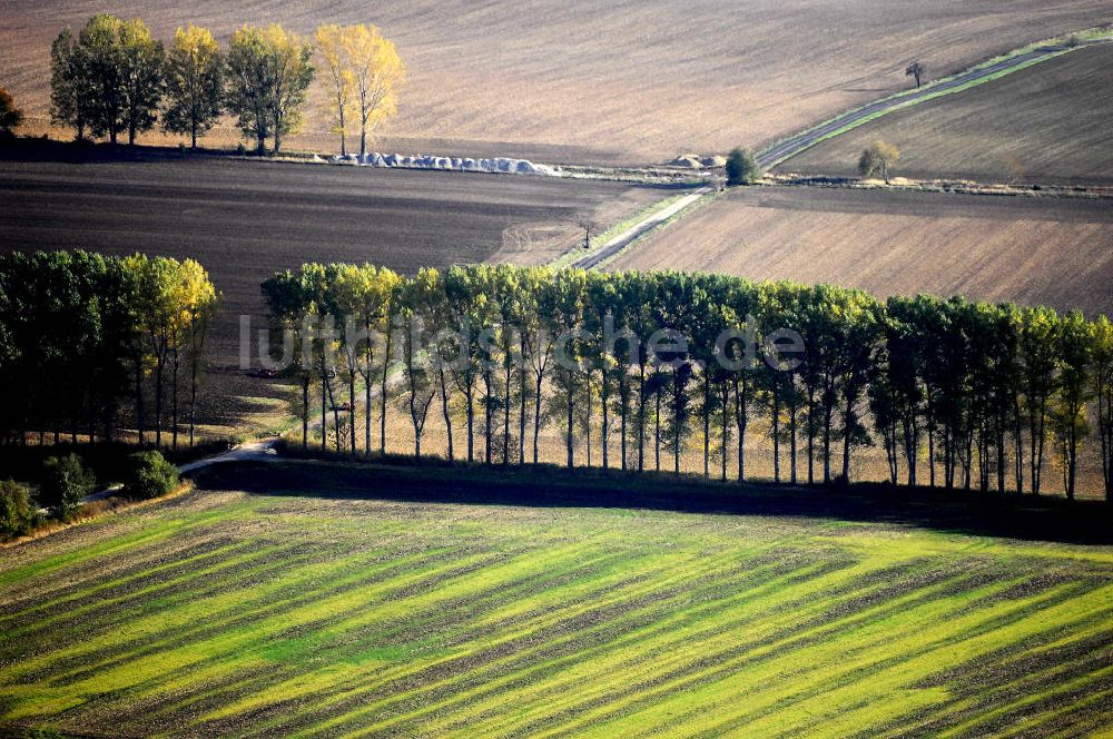 Ettenhausen von oben - Herbststimmung an abgeernteten und umgepflügten Feldern bei Ettenhausen in Thüringen.