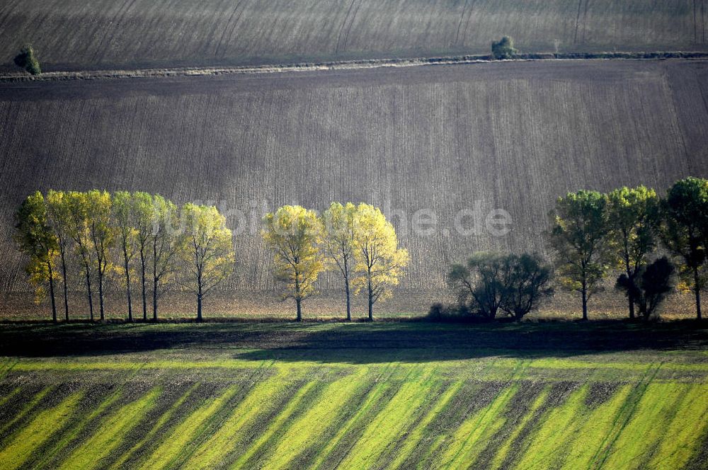 Ettenhausen aus der Vogelperspektive: Herbststimmung an abgeernteten und umgepflügten Feldern bei Ettenhausen in Thüringen.