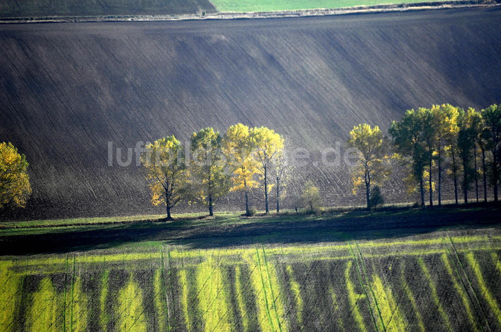 Luftaufnahme Ettenhausen - Herbststimmung an abgeernteten und umgepflügten Feldern bei Ettenhausen in Thüringen.