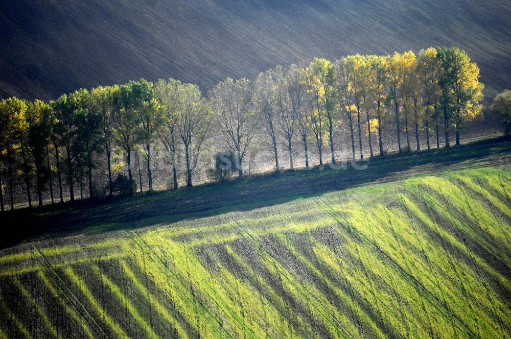 Ettenhausen von oben - Herbststimmung an abgeernteten und umgepflügten Feldern bei Ettenhausen in Thüringen.