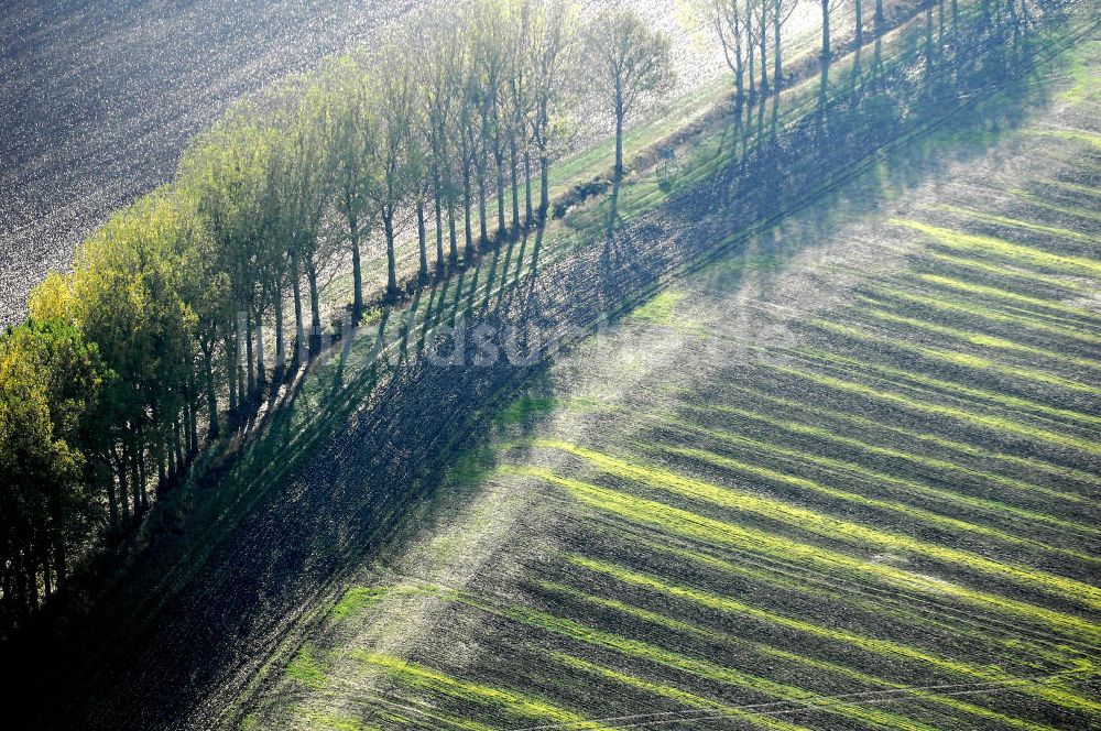 Luftaufnahme Ettenhausen - Herbststimmung an abgeernteten und umgepflügten Feldern bei Ettenhausen in Thüringen.