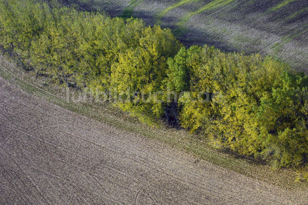 Ettenhausen von oben - Herbststimmung an abgeernteten und umgepflügten Feldern bei Ettenhausen in Thüringen.