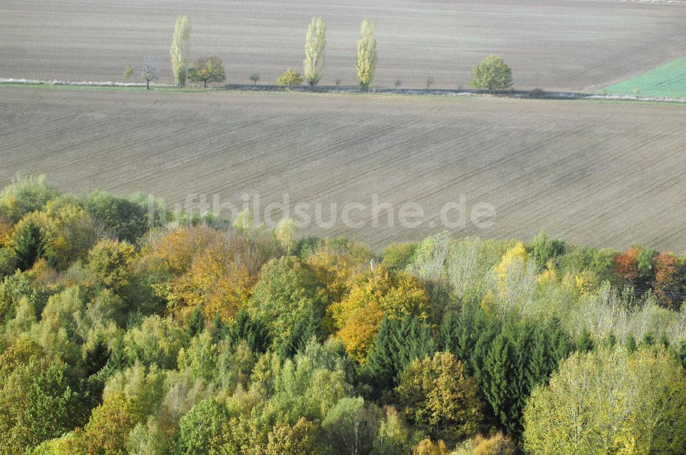 Ettenhausen aus der Vogelperspektive: Herbststimmung an abgeernteten und umgepflügten Feldern bei Ettenhausen in Thüringen.