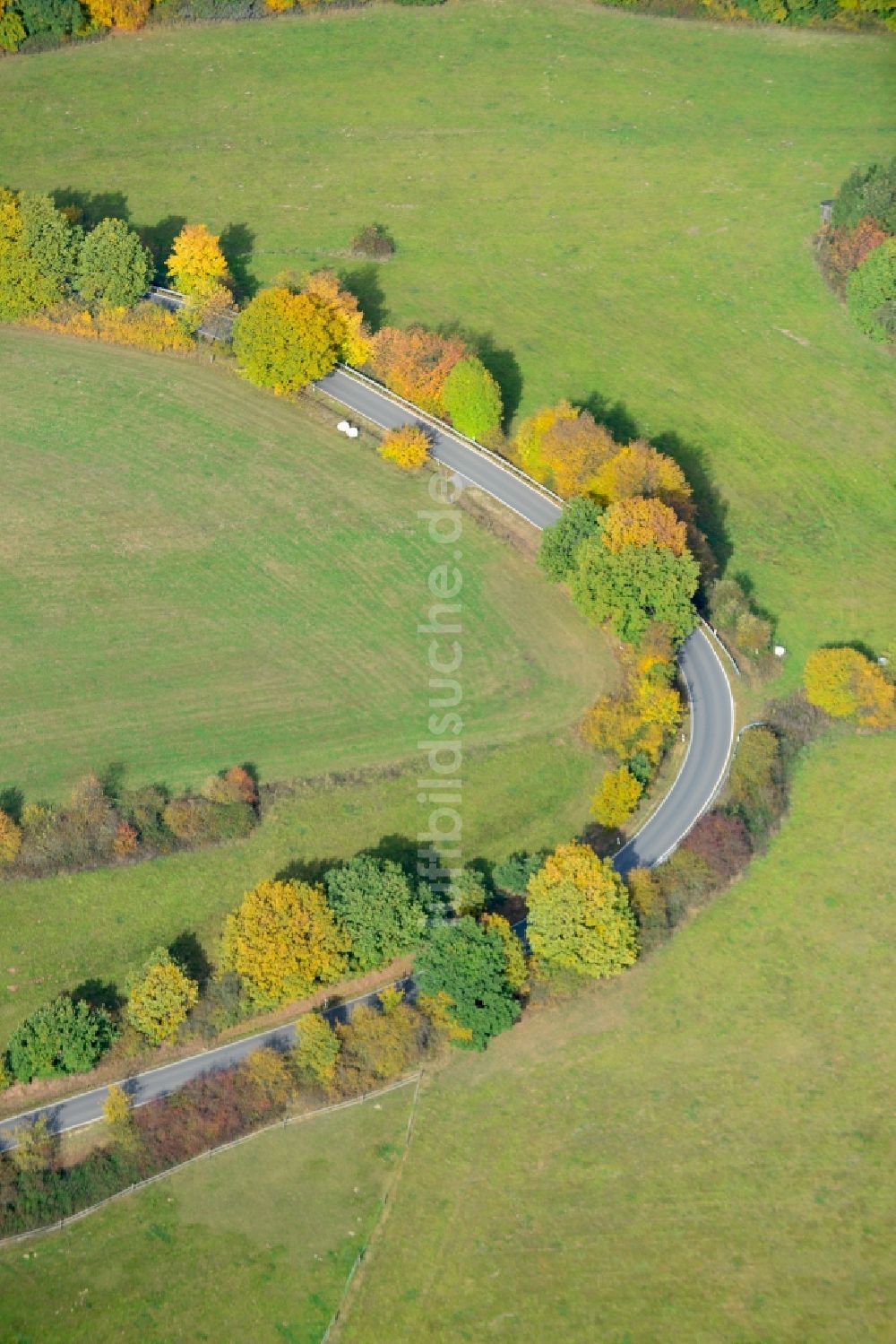 Luftaufnahme Reine - Herbststimmung an einer Baumallee in Reine in Nordrhein-Westfalen