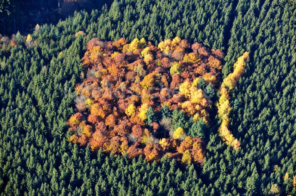 Luftbild Biberberg - Herbststimmung im Wald bei Biberberg