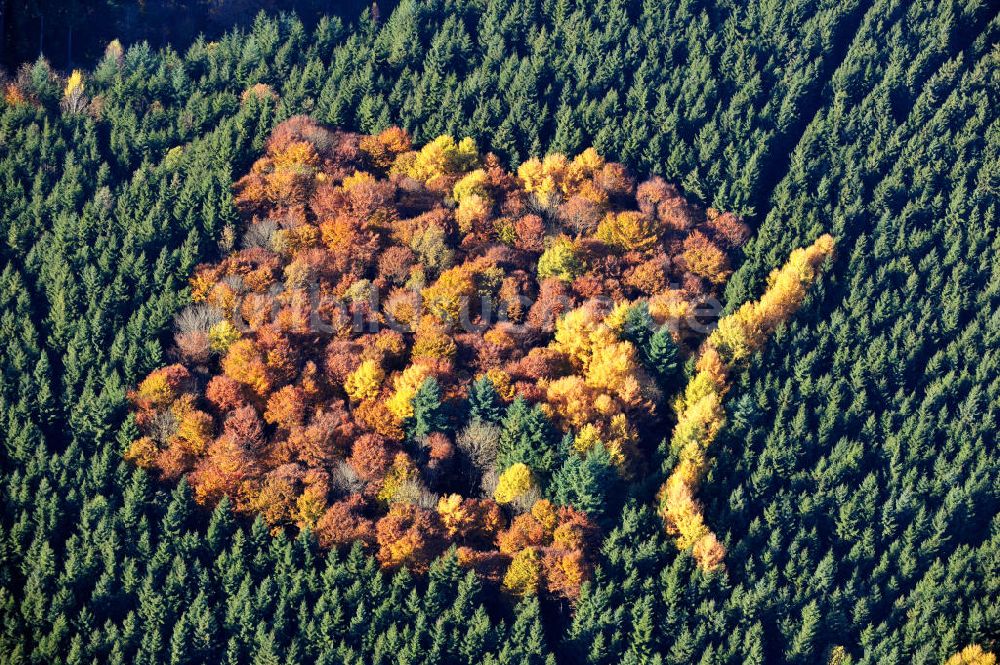 Luftaufnahme Biberberg - Herbststimmung im Wald bei Biberberg