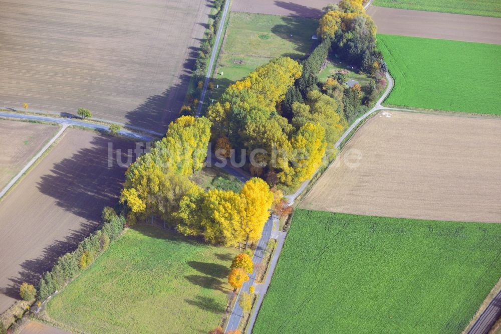 Klein Elbe von oben - Herbststimmung am Waldgebiet in Klein Elbe in Niedersachsen