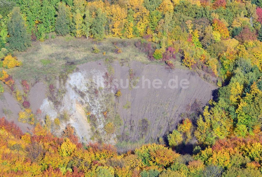 Liebenburg aus der Vogelperspektive: Herbststimmung am Waldgebiet in Liebenburg in Niedersachsen