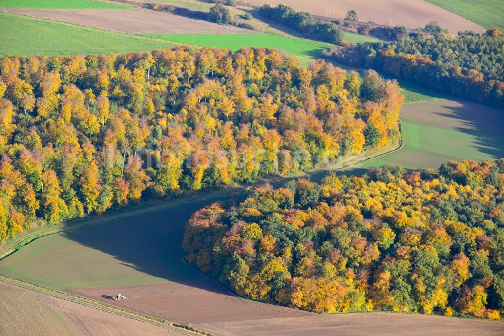 Räbke von oben - Herbststimmung am Waldgebiet in Räbke in Niedersachsen