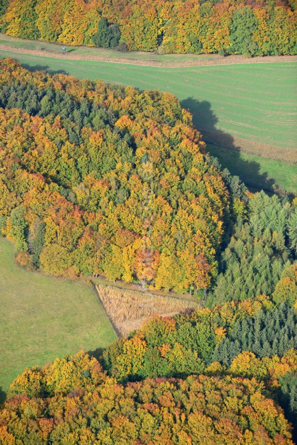 Luftaufnahme Reine - Herbststimmung am Waldgebiet in Reine in Nordrhein-Westfalen