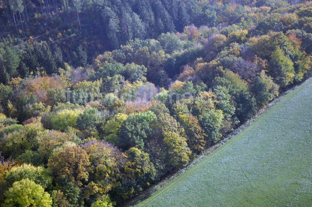 SÄTTELSTÄDT aus der Vogelperspektive: Herbststimmung an Wäldern und Feldern bei Sättelstädt in Thüringen.