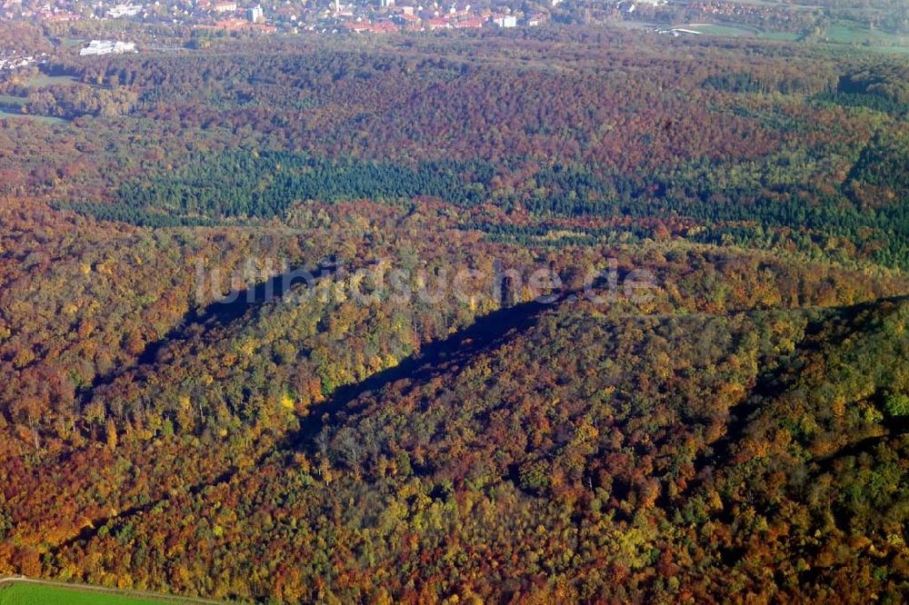 Luftaufnahme Lamspringe - Herbstwald bei Lamspringe