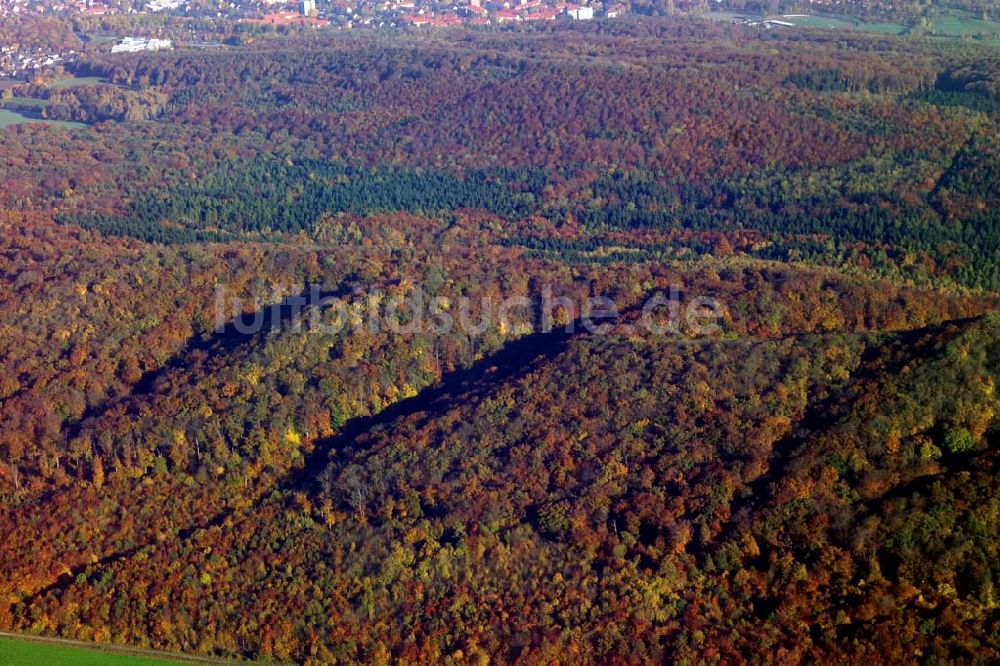 Lamspringe von oben - Herbstwald bei Lamspringe