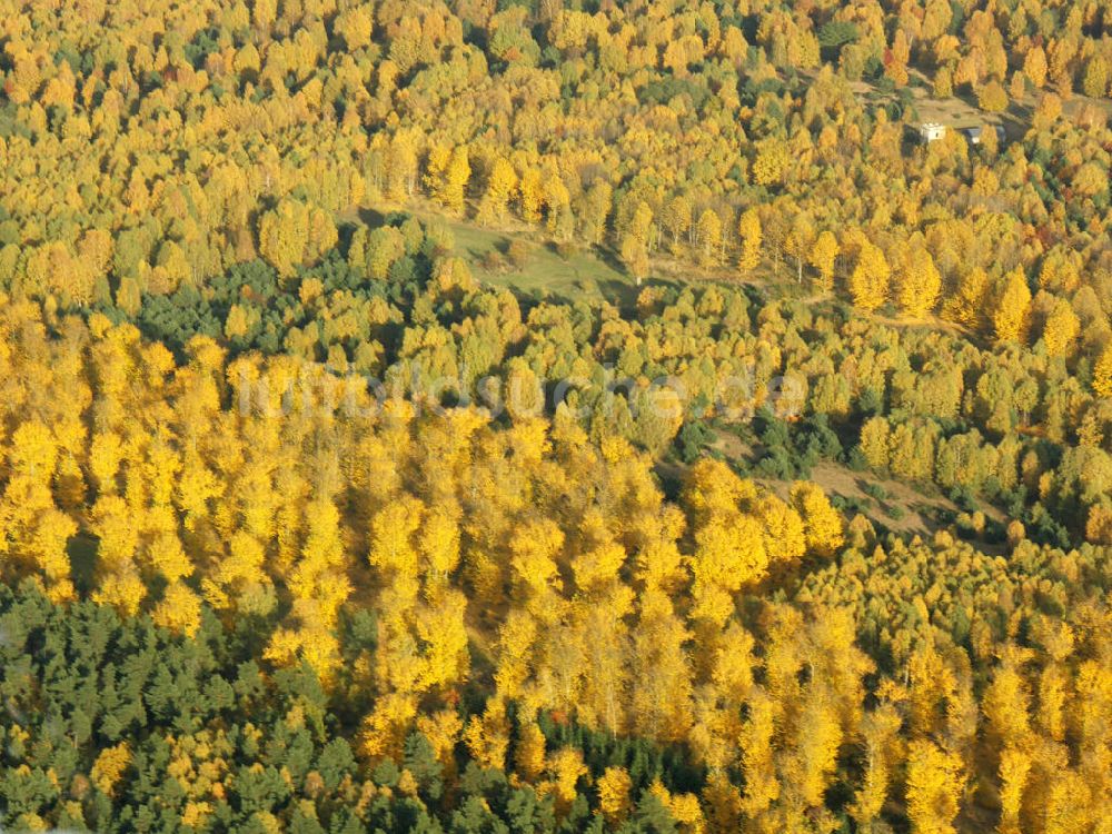 Petkus aus der Vogelperspektive: Herbstwald bei Petkus