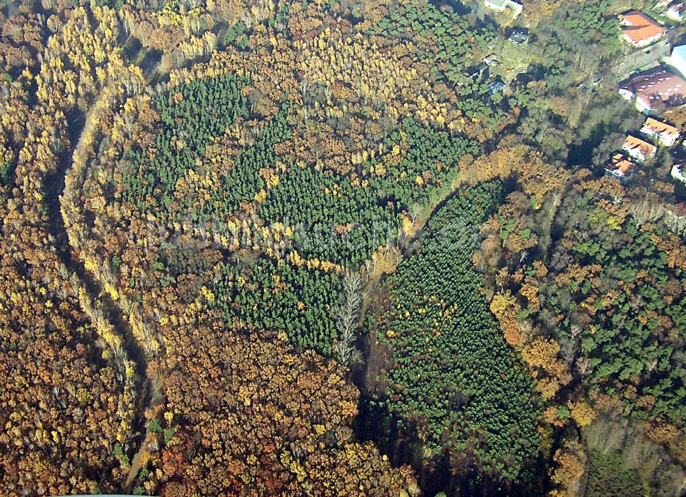 Luftaufnahme Neuenhagen / BRB - Herbstwaldstimmung bei Neuenhagen Neuenhagen / BRB