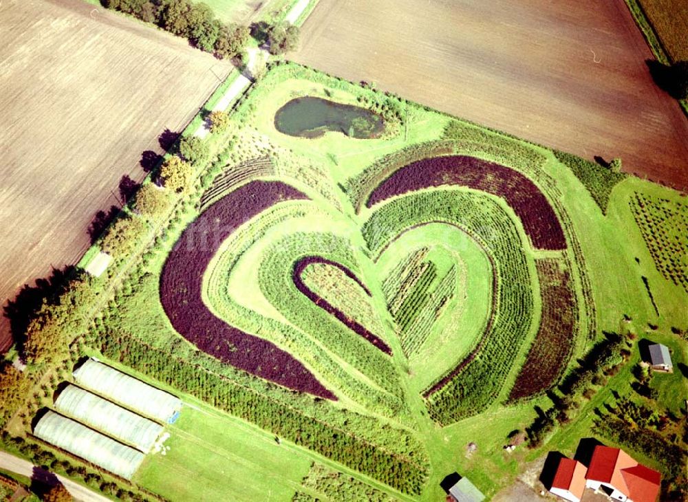 Luftbild Recklinghausen - Herzförmige Gartenbepflanzung bei Recklinghausen 01.10.02