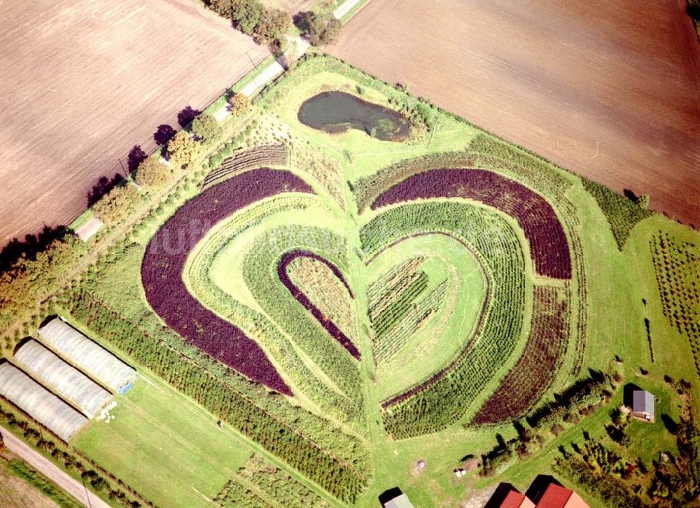 Luftaufnahme Recklinghausen - Herzförmige Gartenbepflanzung bei Recklinghausen 01.10.02