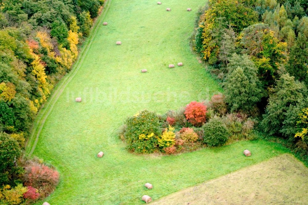 Wörth am Rhein aus der Vogelperspektive: Heuballen auf einer Lichtung am herbstlich bunt gefärbten Waldrand in Wörth am Rhein im Bundesland Rheinland-Pfalz