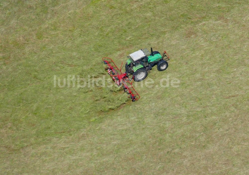 Luftbild Friedland - Heuwende durch einen Traktor auf landwirtschaftlichen Feldern in Friedland im Bundesland Niedersachsen, Deutschland