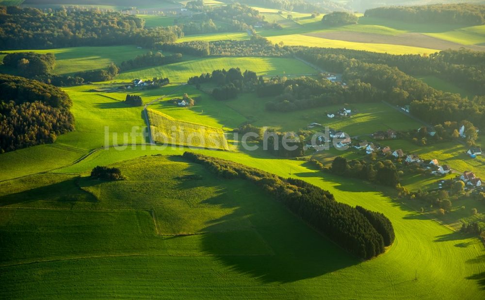 Luftaufnahme Oelinghauserheide - Hügel- Landschaft, Felder und Wiesen bei Oelinghauserheide im Bundesland Nordrhein-Westfalen