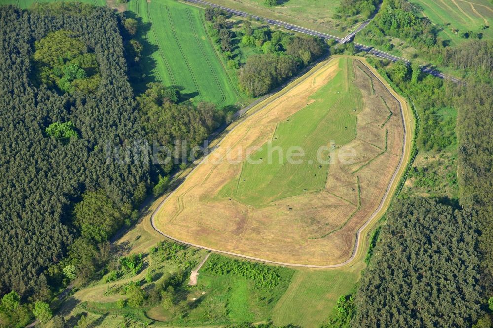 Luftbild Wriezen Ortsteil Biesdorf - Hügel der renaturierte Müllhalde an einem Waldstück nahe der Ortschaft Biesdorf, einem Ortsteil von Wriezen im Bundesland Brandenburg