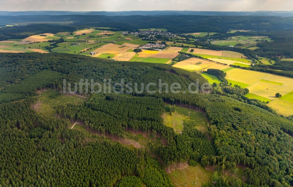 Luftbild Warstein - Hügel, Wiesen und Landschaft der Allagener Mark im Ortsteil Hirschberg in Warstein im Bundesland Nordrhein-Westfalen