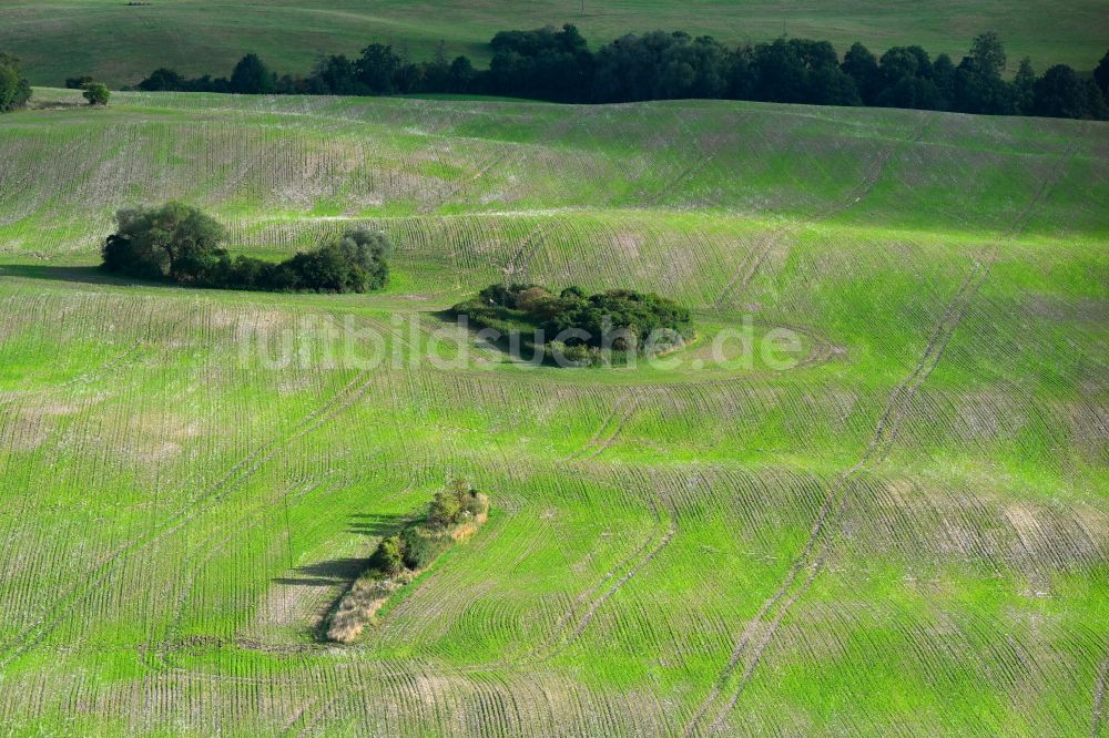 Gerswalde von oben - Hügellandschaft in Gerswalde im Bundesland Brandenburg, Deutschland