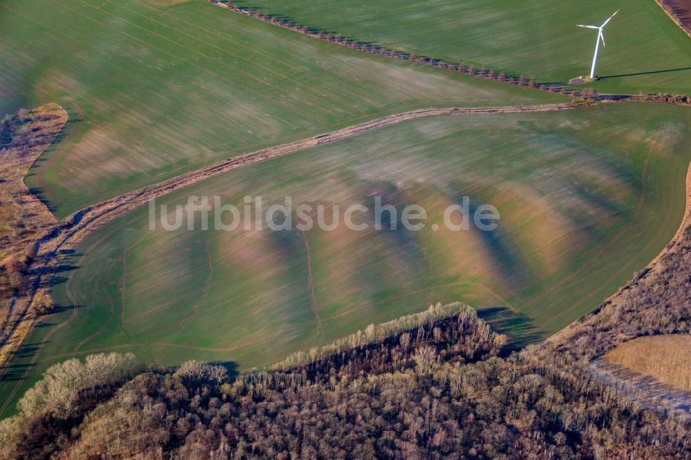 Quenstedt aus der Vogelperspektive: Hügellandschaft in Quenstedt im Bundesland Sachsen-Anhalt, Deutschland