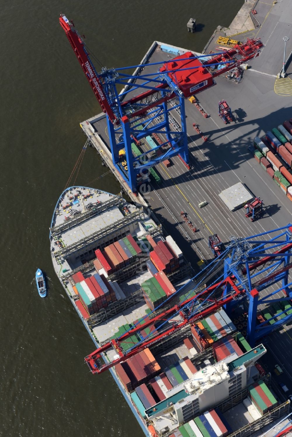 Luftbild Hamburg - HHLA Logistics Container Terminal Burchhardkai am Hamburger Hafen / Waltershofer Hafen in Hamburg Containerschiff MOL Triumph