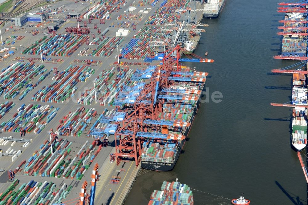 Hamburg von oben - HHLA Logistics Container Terminal Tollerort am Hamburger Hafen / Waltershofer Hafen in Hamburg