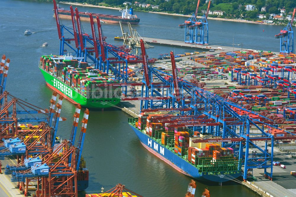 Hamburg aus der Vogelperspektive: HHLA Logistics Container Terminal am Waltershofer Hafen in Hamburg