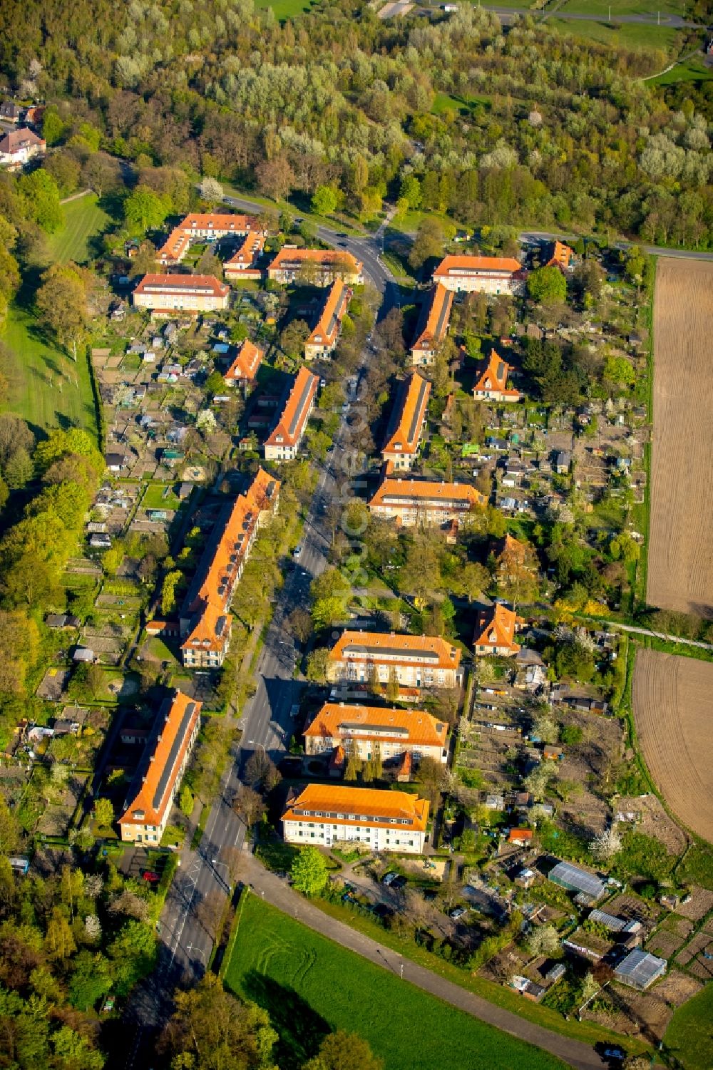 Hamm von oben - Historische Bergarbeitersiedlung Vogelsang im Westen des Stadtteils Heessen in Hamm im Bundesland Nordrhein-Westfalen