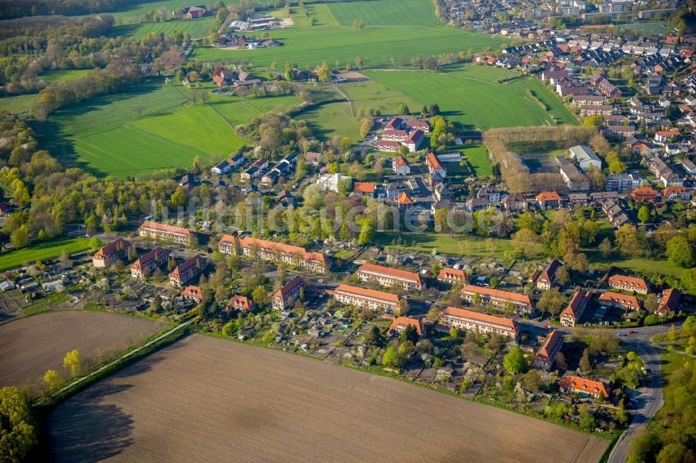 Hamm von oben - Historische Bergarbeitersiedlung Vogelsang im Westen des Stadtteils Heessen in Hamm im Bundesland Nordrhein-Westfalen