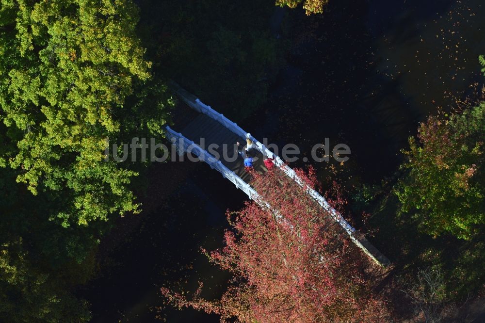 Wörlitz aus der Vogelperspektive: Historische Holz- Brücke im UNESCO-Kulturerbe- Park des Dessau-Wörlitzer Gartenreiches in Wörlitz im Bundesland Sachsen-Anhalt