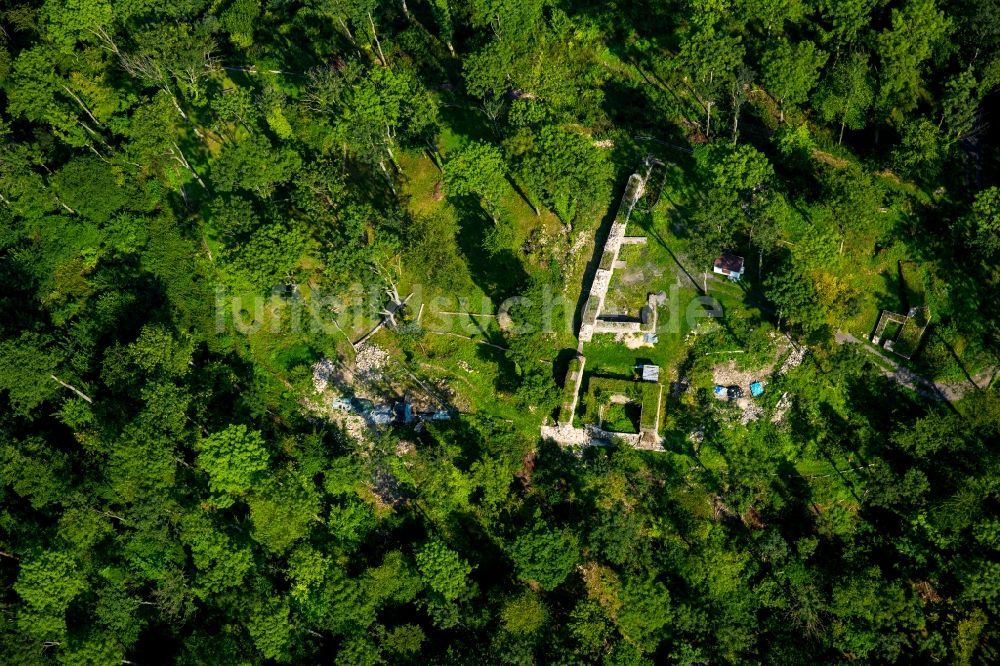 Arnsberg aus der Vogelperspektive: Historische Mauern in einem Wald am südwestlichen Stadtrand von Arnsberg im Bundesland Nordrhein-Westfalen