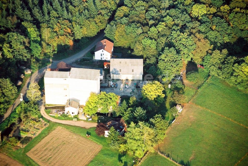 Kandel aus der Vogelperspektive: Historische Wassermühle am Gehöft eines Bauernhofes zwischen Wald und Wiesen in Kandel im Bundesland Rheinland-Pfalz