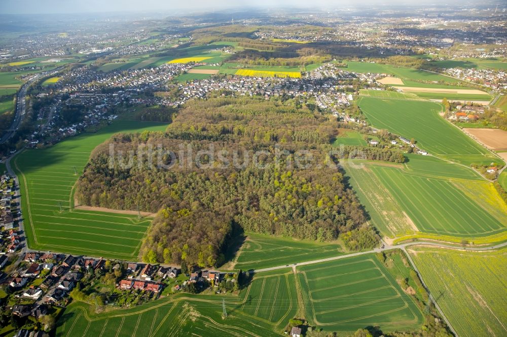 Luftaufnahme Dortmund - Hixterwald- Baumspitzen in einem Waldgebiet in Dortmund im Bundesland Nordrhein-Westfalen