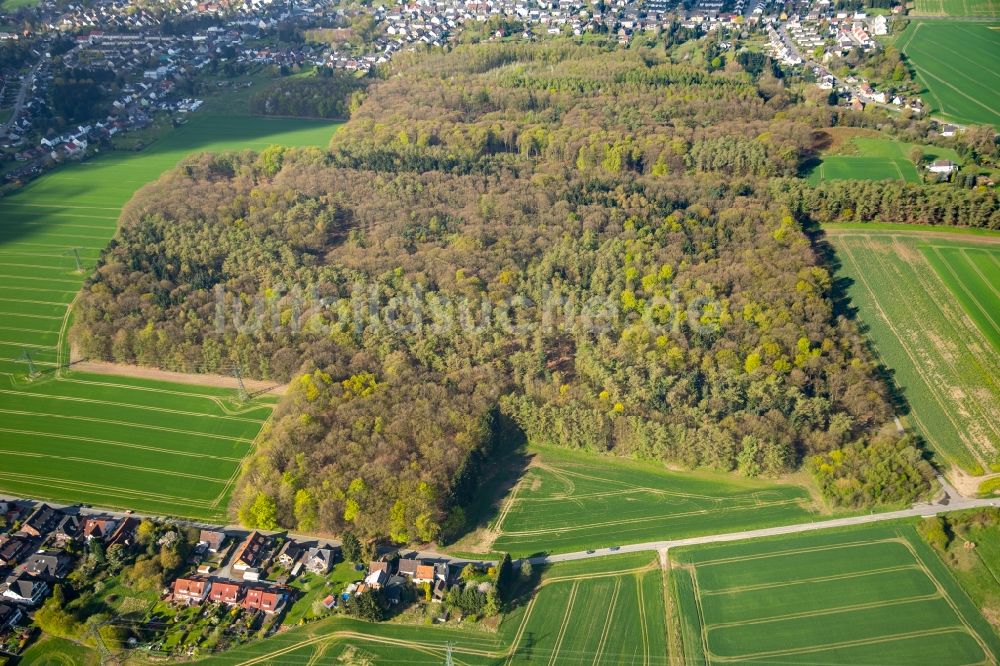 Dortmund von oben - Hixterwald- Baumspitzen in einem Waldgebiet in Dortmund im Bundesland Nordrhein-Westfalen