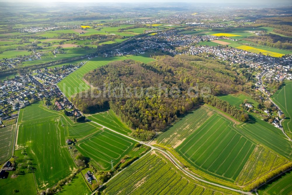 Dortmund aus der Vogelperspektive: Hixterwald- Baumspitzen in einem Waldgebiet in Dortmund im Bundesland Nordrhein-Westfalen