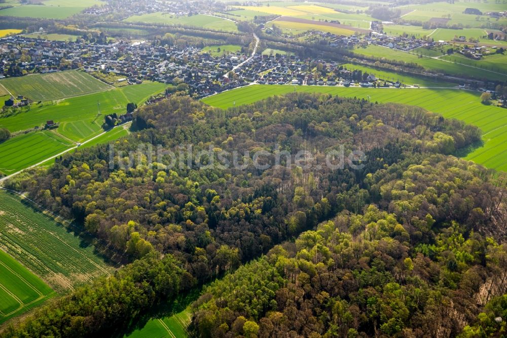 Luftbild Dortmund - Hixterwald- Baumspitzen in einem Waldgebiet in Dortmund im Bundesland Nordrhein-Westfalen