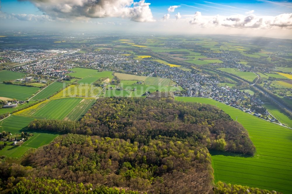 Luftaufnahme Dortmund - Hixterwald- Baumspitzen in einem Waldgebiet in Dortmund im Bundesland Nordrhein-Westfalen