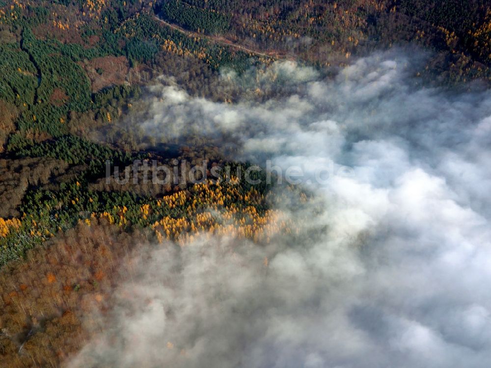 Luftaufnahme Spessart - Hoch- Nebel - Landschaft im Spätherbst über Wäldern des Spessart im Bundesland Bayern