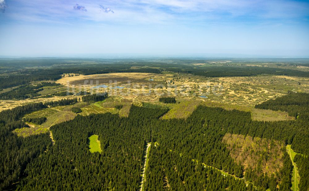 Monschau von oben - Hochebenen- Landschaft Hohes Venn in Monschau im Bundesland Nordrhein-Westfalen, Deutschland