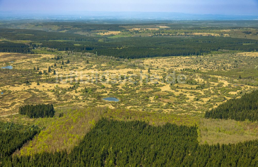 Luftbild Monschau - Hochebenen- Landschaft Hohes Venn in Monschau im Bundesland Nordrhein-Westfalen, Deutschland