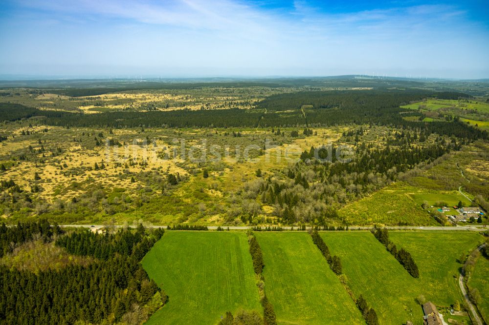 Monschau aus der Vogelperspektive: Hochebenen- Landschaft Hohes Venn in Monschau im Bundesland Nordrhein-Westfalen, Deutschland