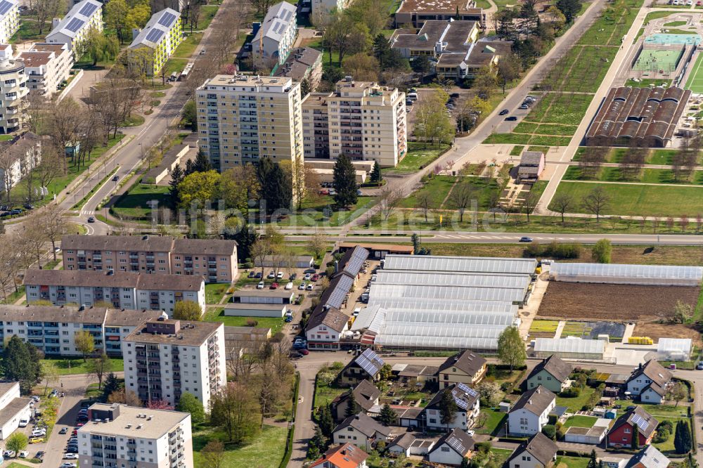 Luftaufnahme Lahr/Schwarzwald - Hochhaus- Ensemble an der Schwarzwaldstrasse in Lahr/Schwarzwald im Bundesland Baden-Württemberg, Deutschland