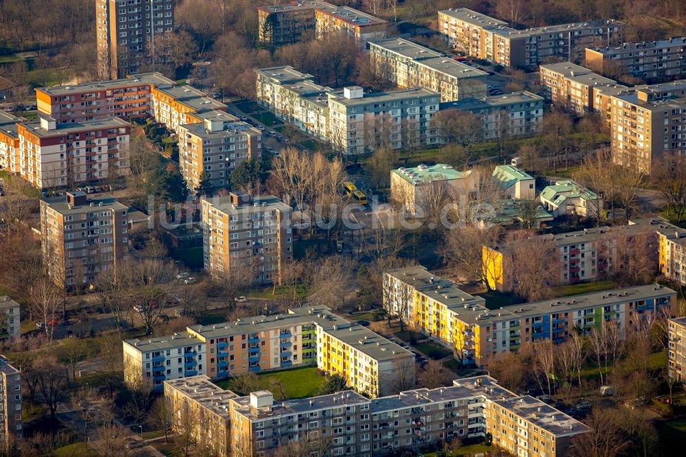 Luftbild Essen - Hochhaus- Wohngebietssiedlung Bergmannsfeld im Stadtteil Horst in Essen im Bundesland Nordrhein-Westfalen